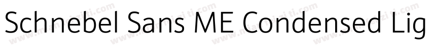 Schnebel Sans ME Condensed Light字体转换